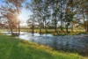 1415 Bridgman Road, Bridgman, NSW 2330-Image