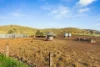 1415 Bridgman Road, Bridgman, NSW 2330-Image