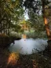 1419 Kin Kin Road, Wolvi, Qld 4570-Image
