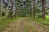 1419 Kin Kin Road, Wolvi, Qld 4570-Image