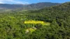 142 Brays Road, Little Mulgrave, Qld 4865