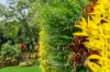 142 Brays Road, Little Mulgrave, Qld 4865-Image