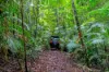 142 Brays Road, Little Mulgrave, Qld 4865-Image