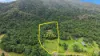 142 Brays Road, Little Mulgrave, Qld 4865-Image