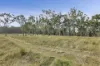 143 Bloomfield Road, Jilliby, NSW 2259-Image