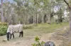 143 Bloomfield Road, Jilliby, NSW 2259-Image