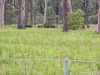 143 Bloomfield Road, Jilliby, NSW 2259-Image