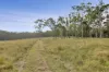 143 Bloomfield Road, Jilliby, NSW 2259-Image