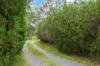 1430 Glastonbury Road, Glastonbury, Qld 4570-Image