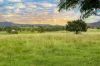 1430 Glastonbury Road, Glastonbury, Qld 4570-Image