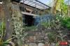 1438 Tableland Road, Horse Camp, Qld 4671-Image