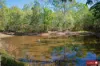 1438 Tableland Road, Horse Camp, Qld 4671-Image