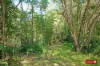 1438 Tableland Road, Horse Camp, Qld 4671-Image