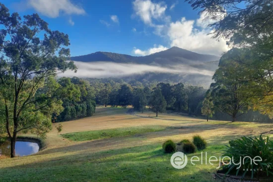 144 Leiberts Lane, Brunkerville, NSW 2323