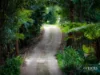 144 Wattle Tree Road, Holgate, NSW 2250-Image