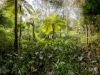 144 Wattle Tree Road, Holgate, NSW 2250-Image
