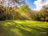 144 Wattle Tree Road, Holgate, NSW 2250-Image