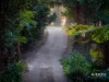 144 Wattle Tree Road, Holgate, NSW 2250-Image