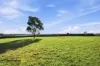 145 Cornwells Road, Riverslea, Vic 3860-Image