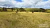 145 Russell Road, Lake Eacham, Qld 4884-Image