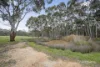 145 Wanlace Road, Majorca, Vic 3465-Image