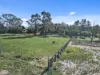 145 Wirraway Street, Moe South, Vic 3825-Image