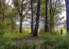 146 Factory Road, Mitchells Island, NSW 2430-Image