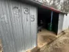 146 Scotts Lane, Runnymede, Qld 4615-Image