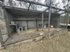 146 Scotts Lane, Runnymede, Qld 4615-Image