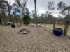 146 Scotts Lane, Runnymede, Qld 4615-Image