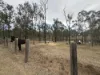 146 Scotts Lane, Runnymede, Qld 4615-Image