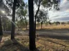 146 Scotts Lane, Runnymede, Qld 4615-Image