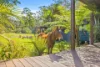 146 Upper Smiths Creek Road, Kundabung, NSW 2441-Image