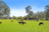 146 Upper Smiths Creek Road, Kundabung, NSW 2441-Image
