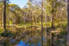 146 Upper Smiths Creek Road, Kundabung, NSW 2441-Image