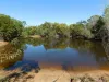 148 Allen Road, Nanango, Qld 4615-Image