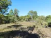148 Allen Road, Nanango, Qld 4615-Image