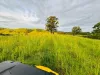 148 Mimi Creek Road, Firefly, NSW 2429-Image