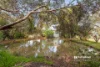 1485 Mount Terrick Road, Echuca, Vic 3564-Image