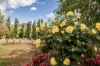 15 Bells Lane, Huon, Vic 3695-Image