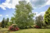15 Bells Lane, Huon, Vic 3695-Image