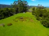 15 Foran Track, Apollo Bay, Vic 3233-Image