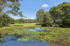 15 Frederick Street, Ourimbah, NSW 2258-Image