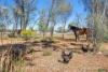 15 Mulla Mulla Road, Connellan, NT 0873