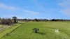 15 Suding Street, Bairnsdale, Vic 3875-Image