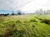 150 Avon Road, Bringelly, NSW 2556-Image