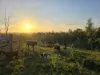 150 Booyal Crossing Road, Good Night, Qld 4671-Image