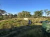 150 Booyal Crossing Road, Good Night, Qld 4671-Image