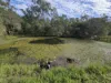 150 Booyal Crossing Road, Good Night, Qld 4671-Image
