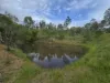 150 Booyal Crossing Road, Good Night, Qld 4671-Image